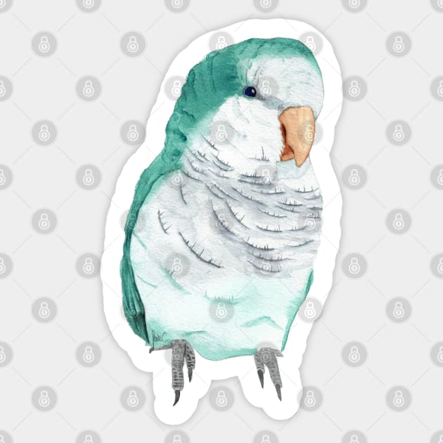 Conure veuve bleu perruche moine souris quaker aquarelle Sticker by Oranjade0122